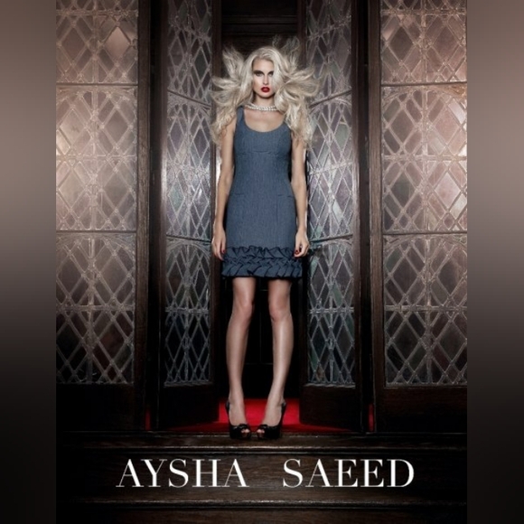 NWT 2 PC AYSHA SAEED GRAY STACY DRESS & MATCHING FERN JACKET SZ 2 - Picture 6 of 12